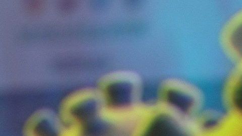 La pandemia de coronavirus sigue en expansión.