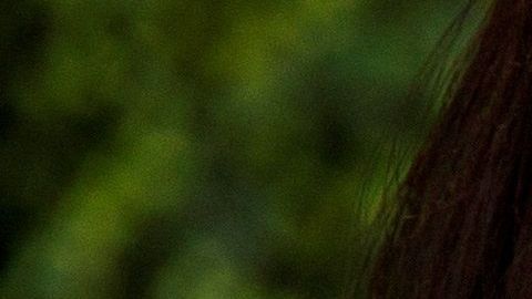 Las relaciones interpersonales no deben cambiar por el coronavirus.