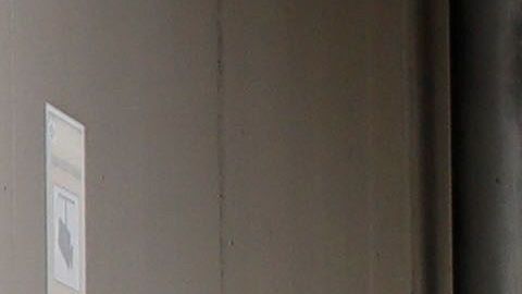 La policía detuvo a la mujer y la llevó de vuelta al hospital.