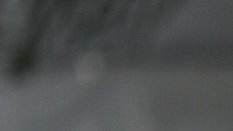 El Gobierno no considera aún  declarar la emergencia.