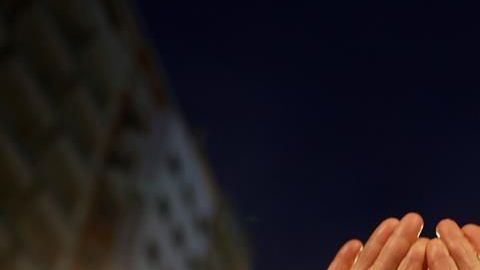 Día Internacional de la Mujer.