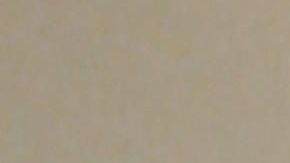 Especialistas bien protegidos atienden a un paciente en la sala de un hospital.