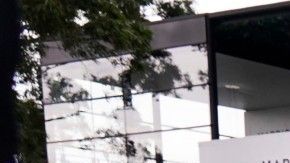 Han tomado la decisión de que se cancele toda la actividad de la Fórmula 1.