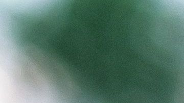 El perro cayó al hielo y se necesitó la acción de dos bomberos para salvarle la vida