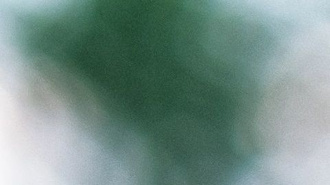 El perro cayó al hielo y se necesitó la acción de dos bomberos para salvarle la vida