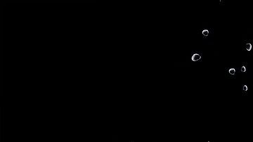 Fresa-Petra D. en Pixabay