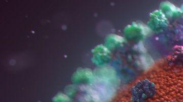 El coronavirus puede detectarse hasta 2 y 3 días en plástico y acero inoxidable.