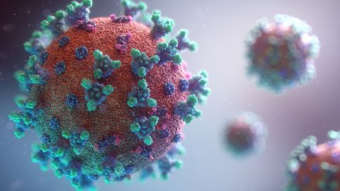 Un modelo de coronavirus, incluyendo las puntas o espínculas con las que penetra en las células.