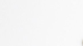 Galletas saladas-Tafilah Yusof en Pixabay