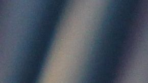 Un gatito fue capaz de trepar la pierna de su dueña para alcanzar su comida,