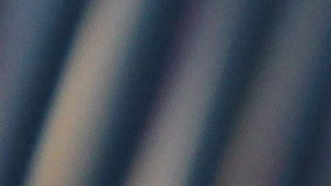 Un gatito fue capaz de trepar la pierna de su dueña para alcanzar su comida,