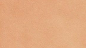 A los gatos no se les enseñó a ser sociables.