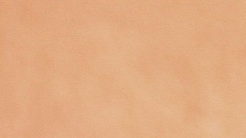 A los gatos no se les enseñó a ser sociables.