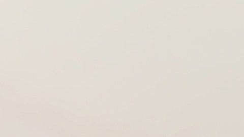 La fobia a los gatos suele originarse en la infancia.