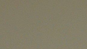 El gato Merlín ha ganado 281 mil seguidores en Instagram por compartir su cara enojada.