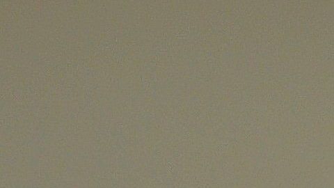 El gato Merlín ha ganado 281 mil seguidores en Instagram por compartir su cara enojada.