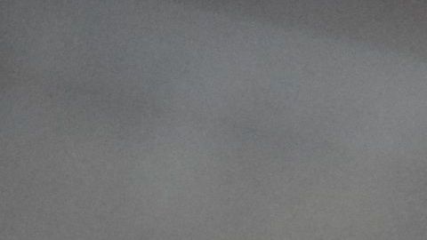 Un gato puede querer comunicarse contigo si maúlla en exceso.