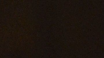 Lograr una buena relación entre dos gatos no es una tarea fácil.