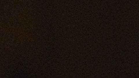 Lograr una buena relación entre dos gatos no es una tarea fácil.