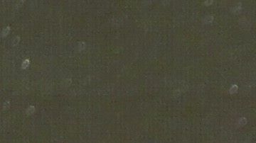 Conor McGregor trató de motivar a sus aficionados, a través de su experiencia.