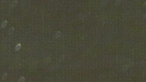 Conor McGregor ya ha ganado cinturones de UFC, pero le falta uno de boxeo.