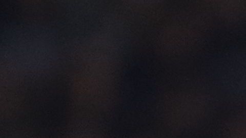 Contra el Betis, Vinicius Júnior buscará anotar por segunda jornada consecutiva en la Liga.