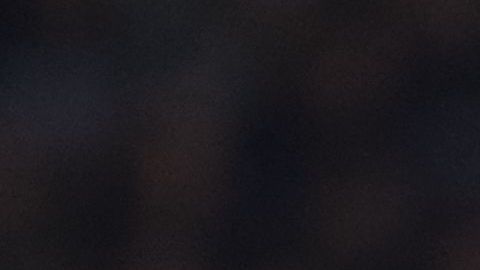 Contra el Betis, Vinicius Júnior buscará anotar por segunda jornada consecutiva en la Liga.