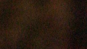 A Claudio Caniggia le hubiera gustado jugar para Cruz Azul.