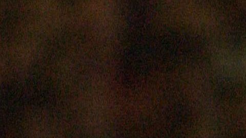 A Claudio Caniggia le hubiera gustado jugar para Cruz Azul.