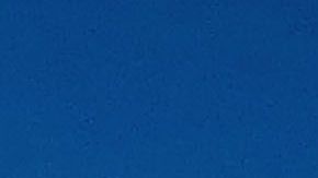 Por brote mundial de coronavirus cambian de fecha la Cumbre Mundial del Turismo a realizarse en Cancún.