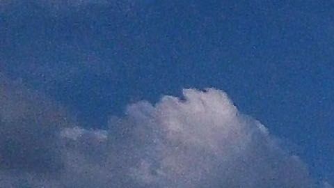 La investigación se enfoca en la coleta ilegal de donativos de una presunta red de pornografía infantil y explotación sexual dentro de la congregación religiosa.