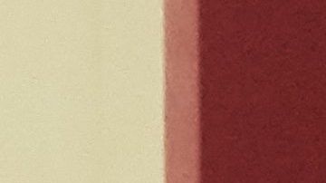 Rey Felipe VI junto a su consorte Letizia.