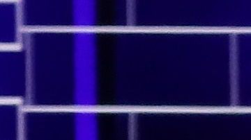 El exvicepresidente Joe Biden y el senador Bernie Sanders.