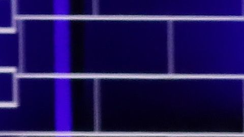 El exvicepresidente Joe Biden y el senador Bernie Sanders.