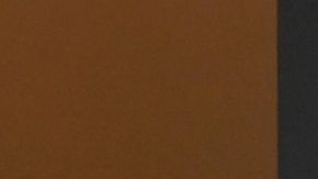 El expresidente mexicano Porfirio Díaz habría depositado 50 millones de pesos en oro para el pago de la Deuda Pública Agraria.