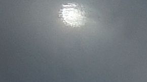 A Rodman no le importaría el dinero que le dejaría el combate ni la diferencia de edades en el ring.