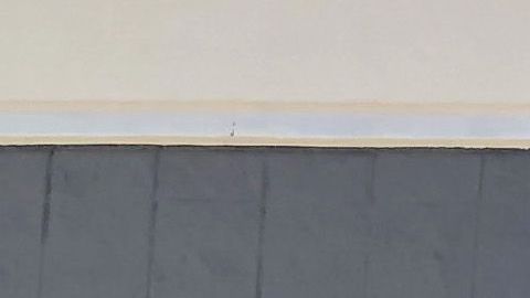 Walmart es el mayor empleador privado de Estados Unidos con más de 1.3 millones de empleados.