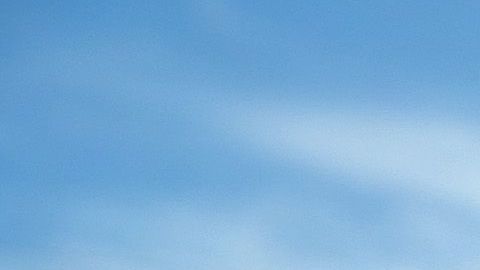 Un oficial de la Patrulla Fronteriza encontró a la joven guatemalteca.