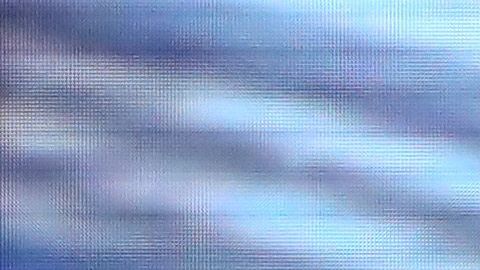 Kamala Harris apoyó recientemente a Biden.