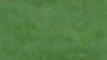 El origen de la lesión de Aaron Judge pudo ser un lance en el jardín.