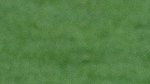 El origen de la lesión de Aaron Judge pudo ser un lance en el jardín.