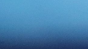 Boone mostró su gratitud.