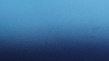 Aaron Boone abandonará la concentración en Tampa.