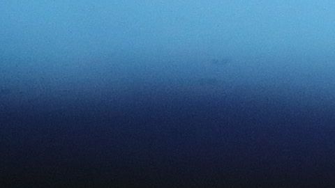 Aaron Boone abandonará la concentración en Tampa.