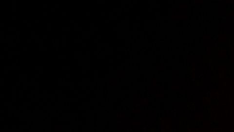 Este año TikTok se ha convertido en la app más descargada en el planeta.