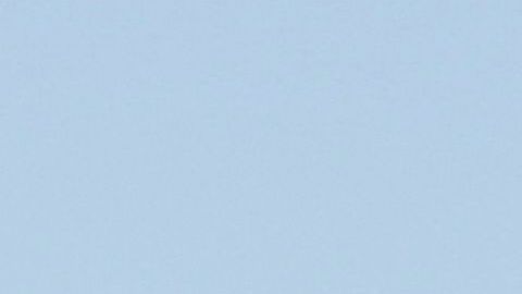 Grupo antimotines de la Patrulla Fronteriza.