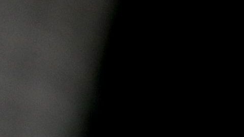 Nueva York suma 228 casos, la mayoría en la ciudad de New Rochelle.