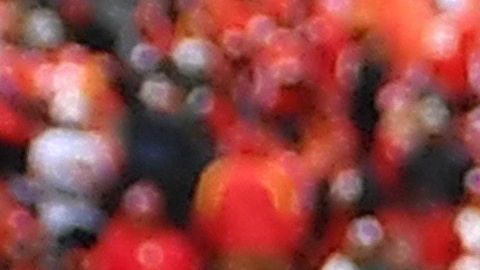 El capitán de la defensiva de los Texans donó $350,000 dólares al Banco de Comida de Houston.