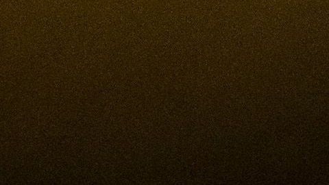 La senadora Amy Klobuchar.