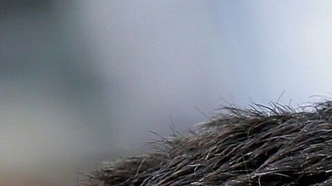 Pete Buttigieg y Amy Klobuchar apoyan la candidatura demócrata de Joe Biden.